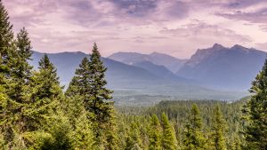 Kootenai National Forest