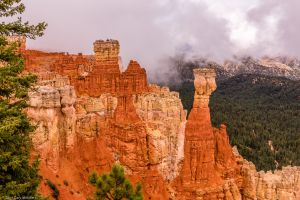 Bryce Canyon in the rain.